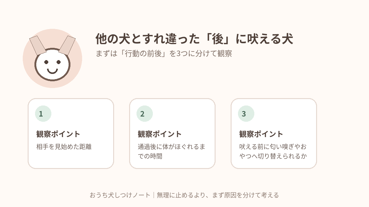 他の犬とすれ違った「後」に吠える犬|通り過ぎてから爆発する理由と練習で確認したい3つの観察ポイント