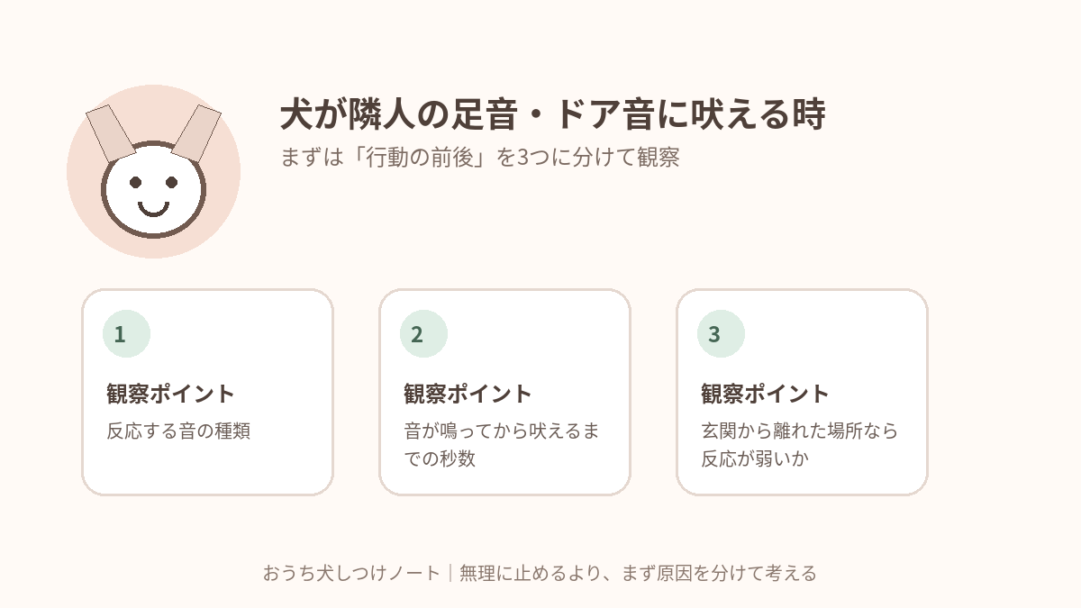 犬が隣人の足音・ドア音に吠える時｜集合住宅でできる「音への反応」対策で確認したい3つの観察ポイント
