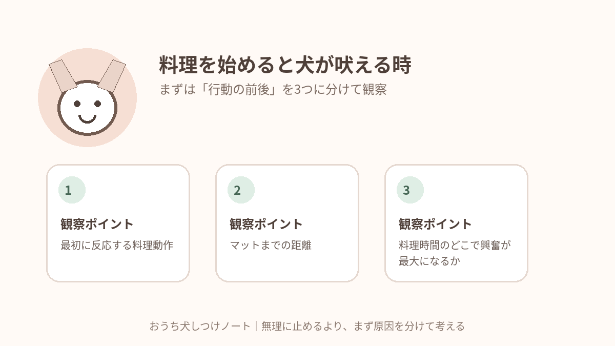 料理を始めると犬が吠える時|キッチン前の要求吠えを減らす仕組みで確認したい3つの観察ポイント