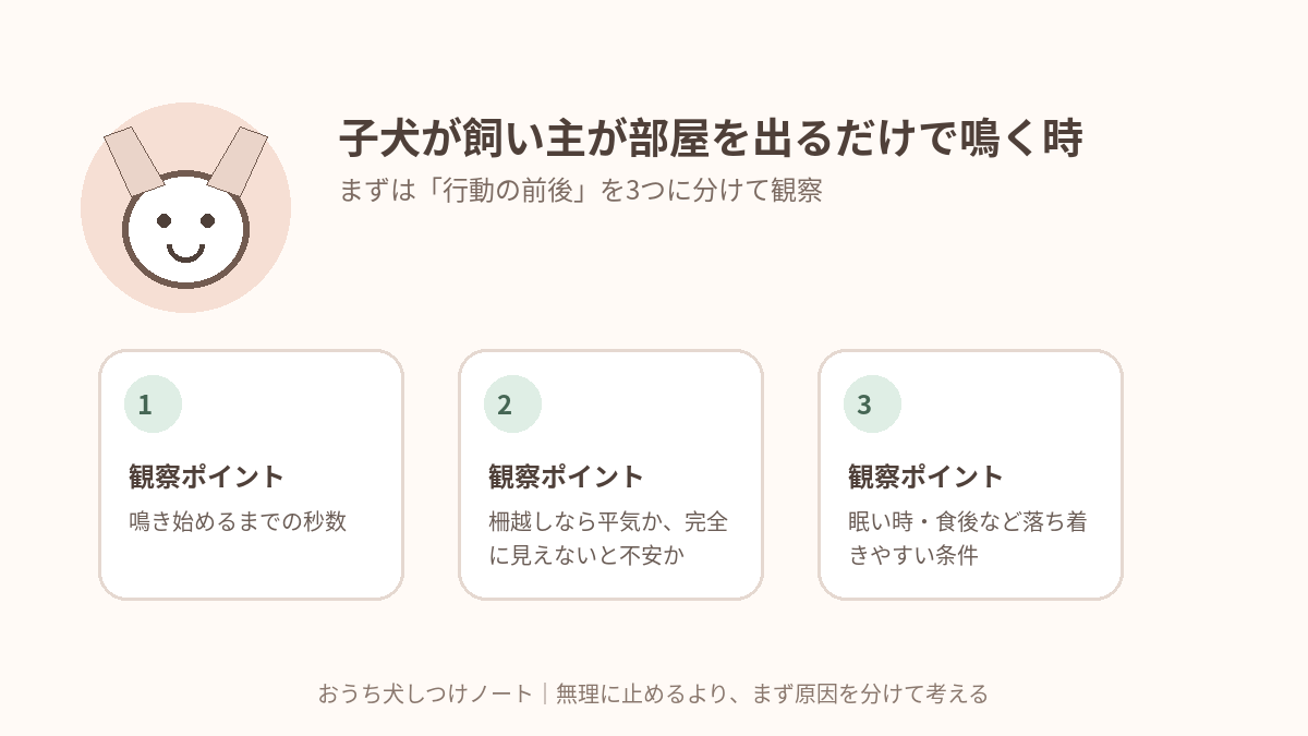 子犬が飼い主が部屋を出るだけで鳴く時|短い「離れる練習」の始め方で確認したい3つの観察ポイント