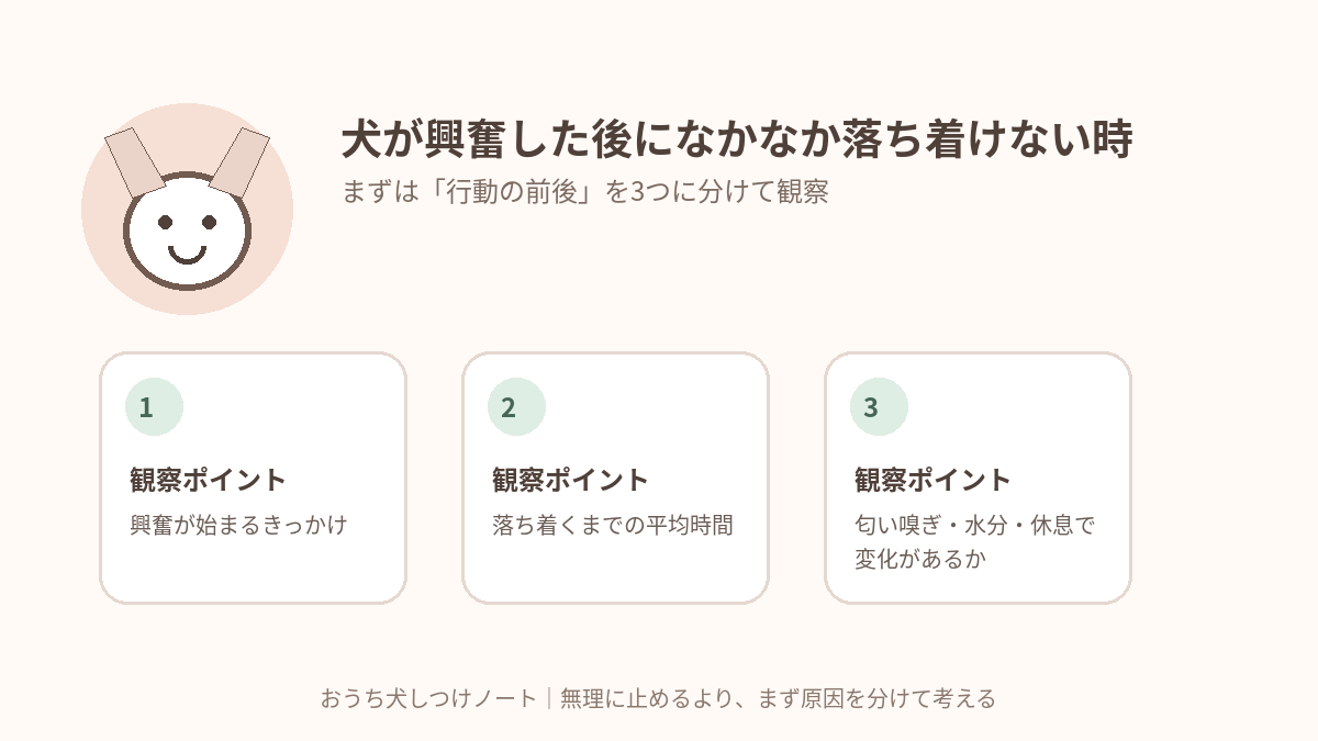 犬が興奮した後になかなか落ち着けない時｜遊び・来客後の「クールダウン」の作り方で確認したい3つの観察ポイント