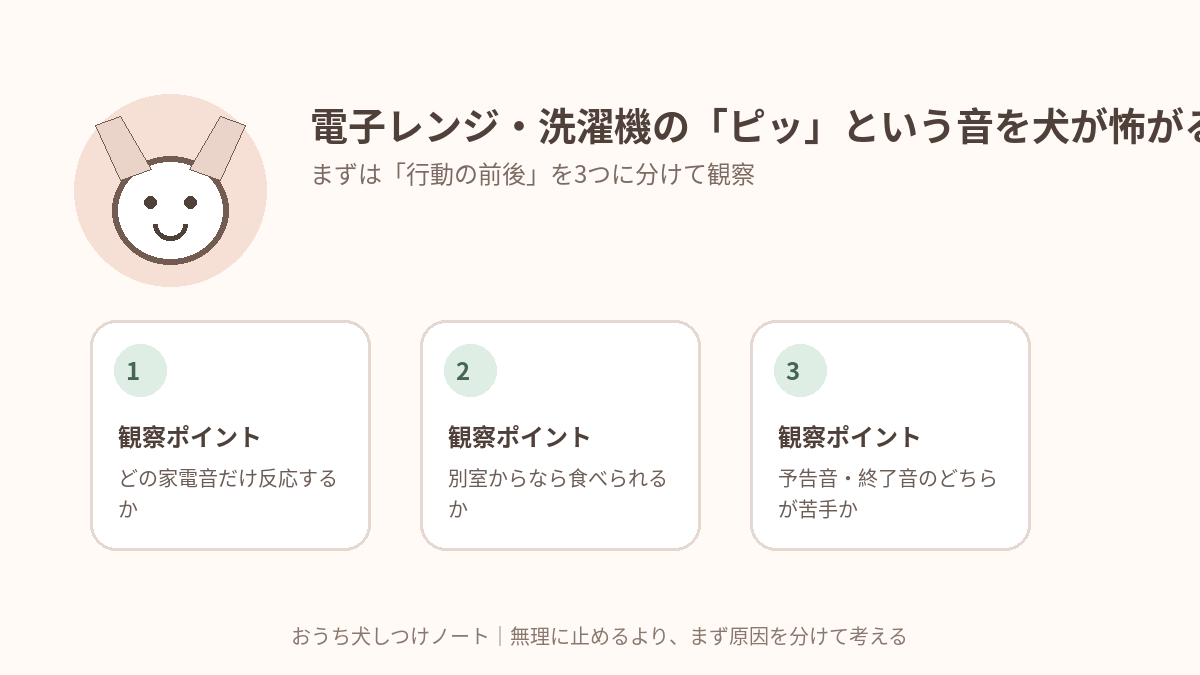 電子レンジ・洗濯機の「ピッ」という音を犬が怖がる時｜生活音への慣らし方で確認したい3つの観察ポイント