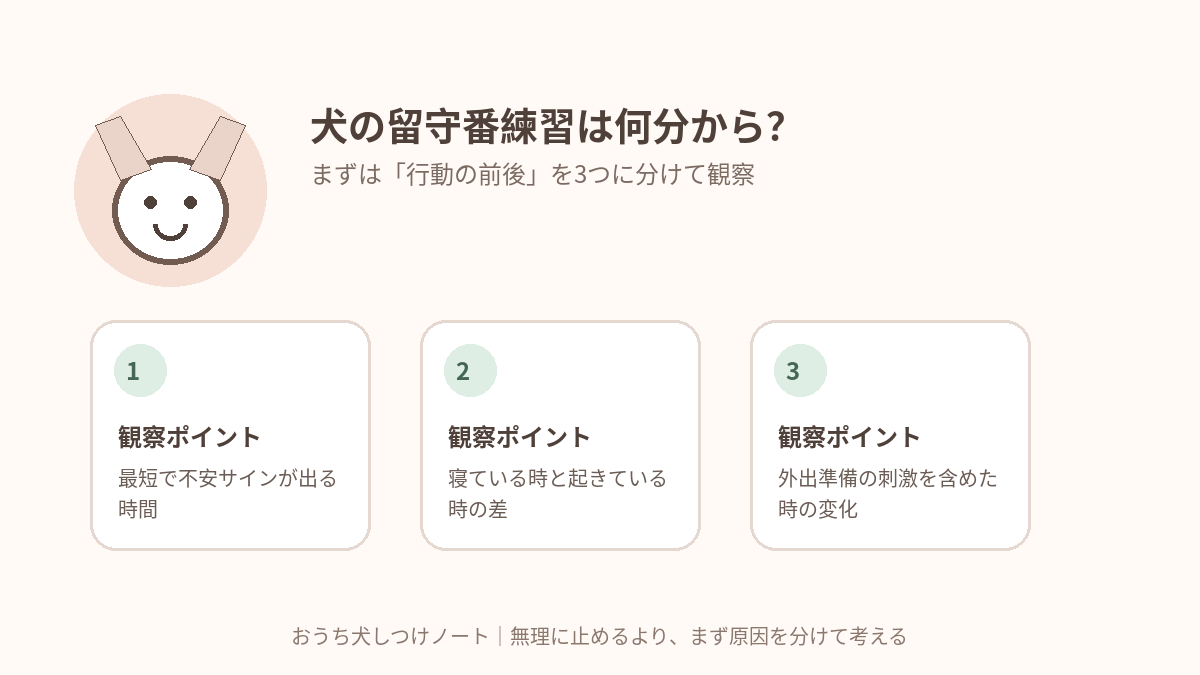 犬の留守番練習は何分から？｜「鳴くまで我慢」ではなく成功時間を伸ばす考え方で確認したい3つの観察ポイント