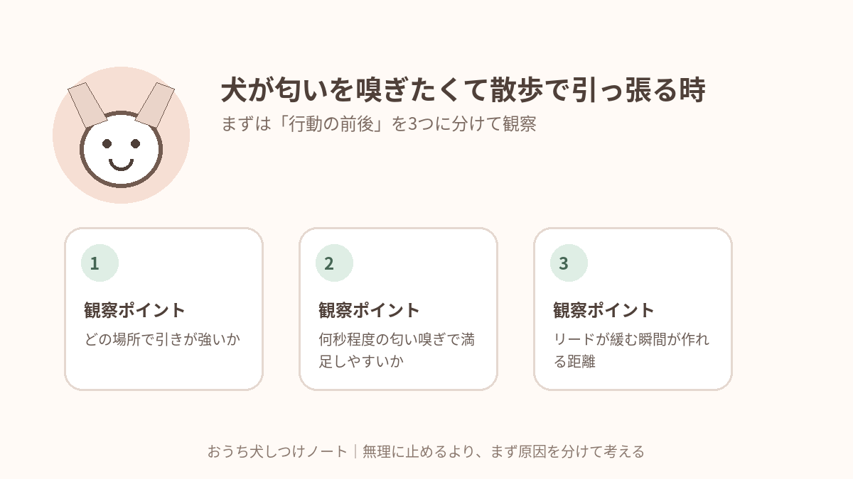 犬が匂いを嗅ぎたくて散歩で引っ張る時|「嗅ぐ時間」をごほうびに変えるで確認したい3つの観察ポイント
