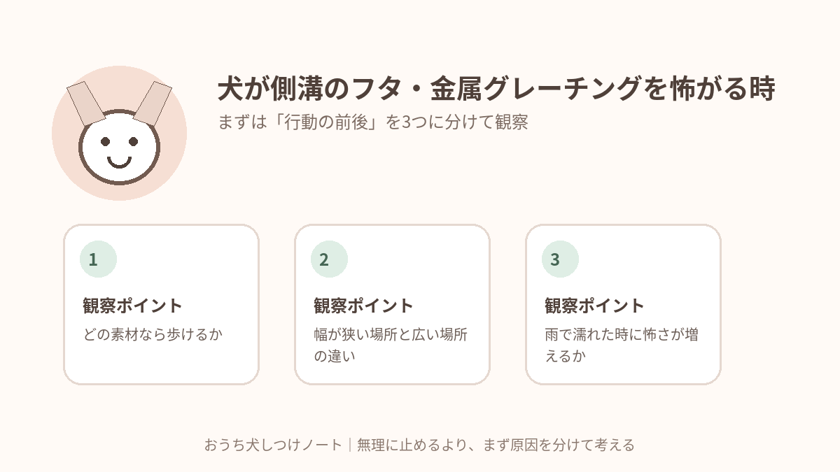 犬が側溝のフタ・金属グレーチングを怖がる時|またがせる前にできる練習で確認したい3つの観察ポイント