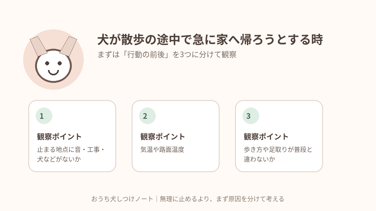 犬が散歩の途中で急に家へ帰ろうとする時|「もう帰る」の理由を分けて考えるで確認したい3つの観察ポイント