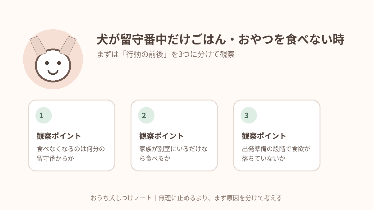 犬が留守番中だけごはん・おやつを食べない時|不安の強さを見分ける目安で確認したい3つの観察ポイント